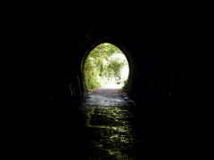 
Mangaroa Tunnel looking East, January 2013